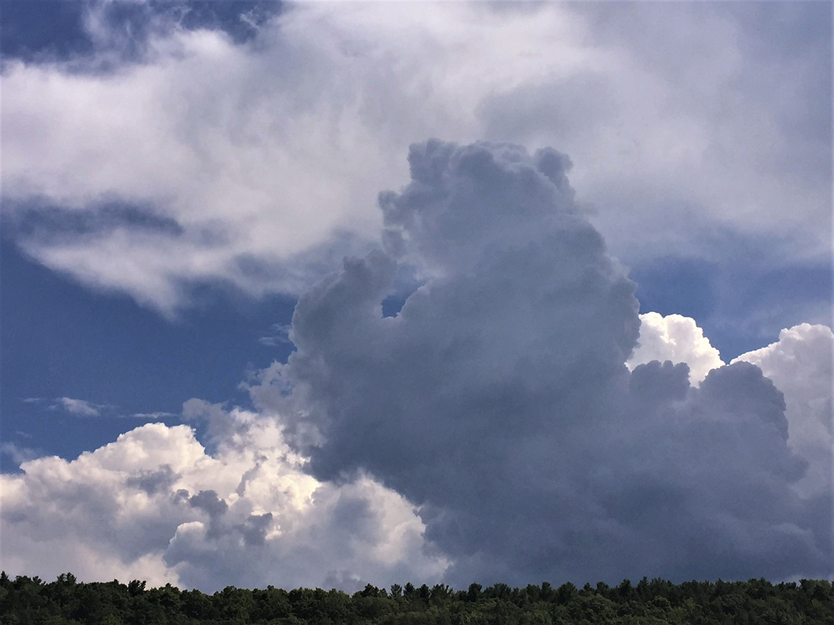 cloud bear by helen enright
