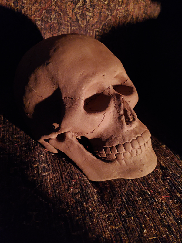 skull 2 by Odin Esty