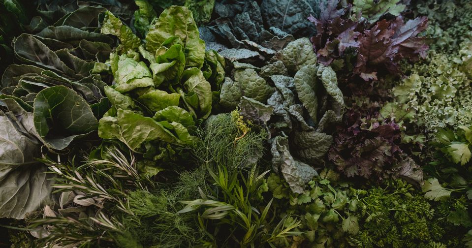 bunches of green and purple leafy vegetable and herbs in farm store produce section